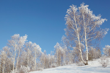 Similar image 645285