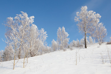 Similar image 645286