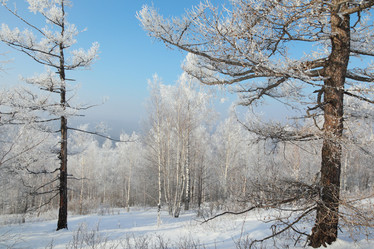 Similar image 645287