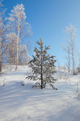 Similar image 645288