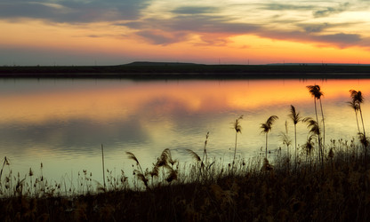 Similar image 645292