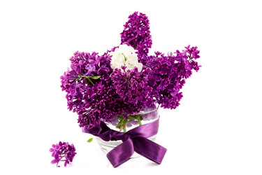 Similar image 645294