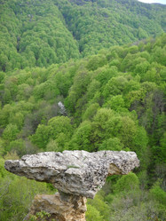 Similar image 645309