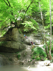 Similar image 645314