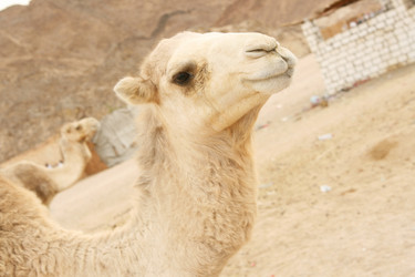 Similar image 645335