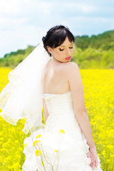 Similar image 645340