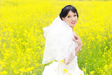 Similar image 645341