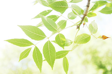 Similar image 645360