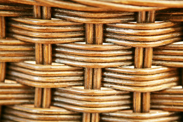 Similar image 645364