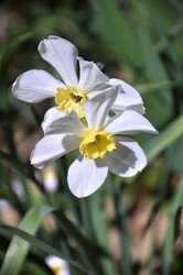 Similar image 645369