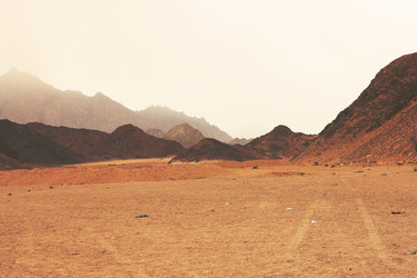 Similar image 645371