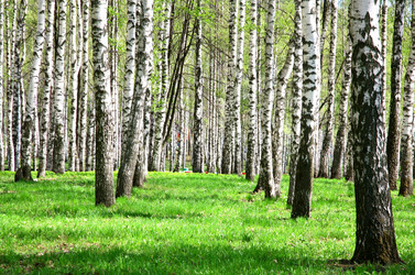 Similar image 645376