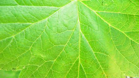 Similar image 645385