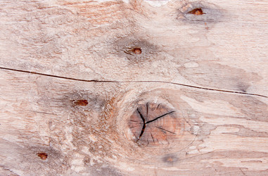 Similar image 645392