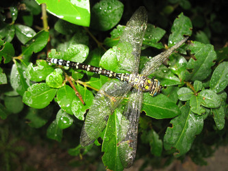 Similar image 645404