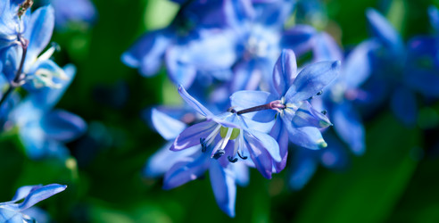 Similar image 645460