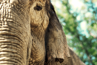 Similar image 645464