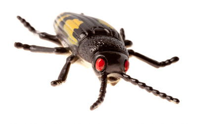 Similar image 645487