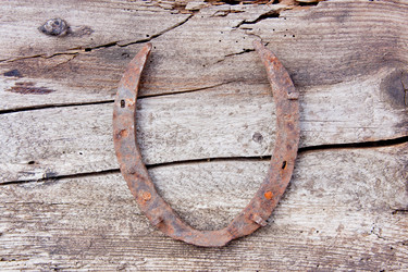 Similar image 645519