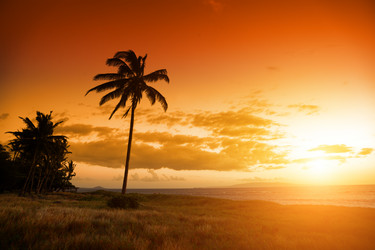 Similar image 645556