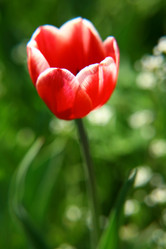 Similar image 645563