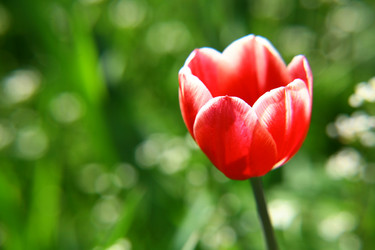 Similar image 645565