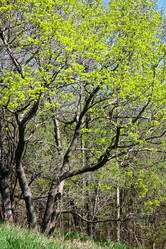 Similar image 645585