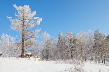 Similar image 645650