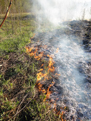 Similar image 645673