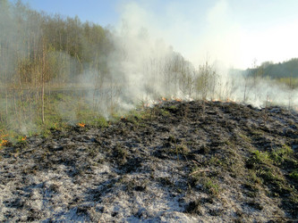 Similar image 645707