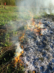 Similar image 645708