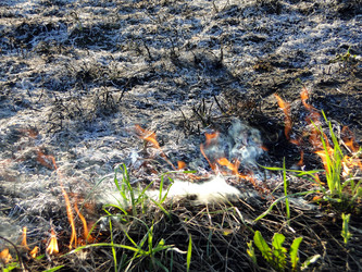 Similar image 645709