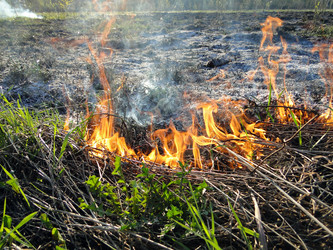 Similar image 645710