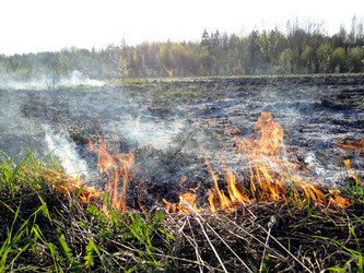 Similar image 645712