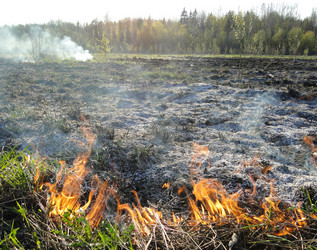 Similar image 645713