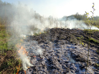 Similar image 645715