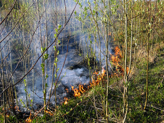 Similar image 645765