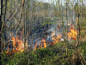 Similar image 645766