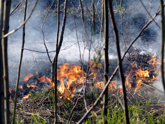 Similar image 645767