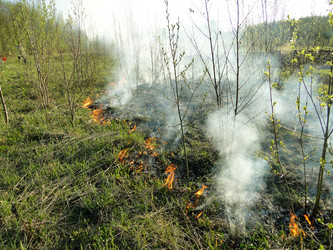 Similar image 645768