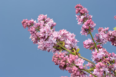 Similar image 645782