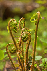 Similar image 645798