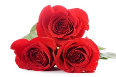 Similar image 645802