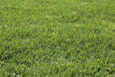 Similar image 645834