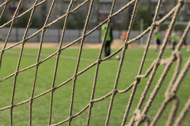 Similar image 645839