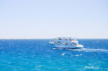 Similar image 645847