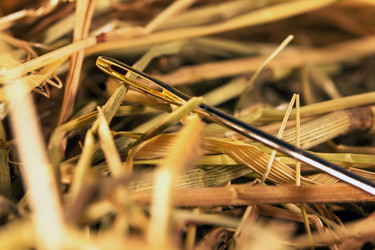 Similar image 645856