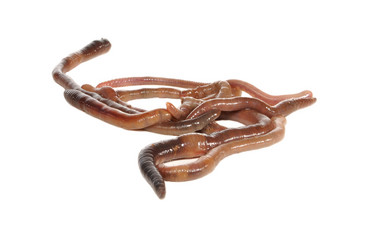 Similar image 645864