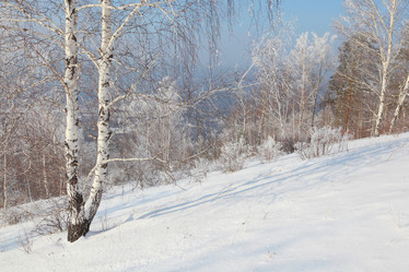 Similar image 645867