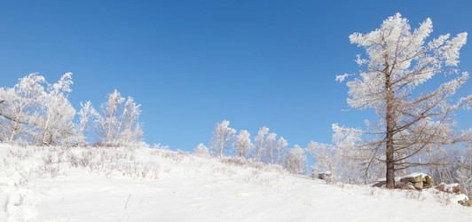 Similar image 645868